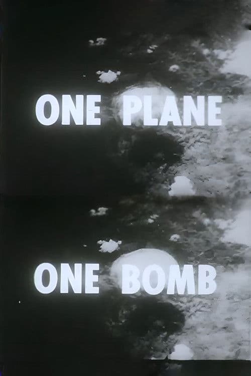 One Plane, One Bomb