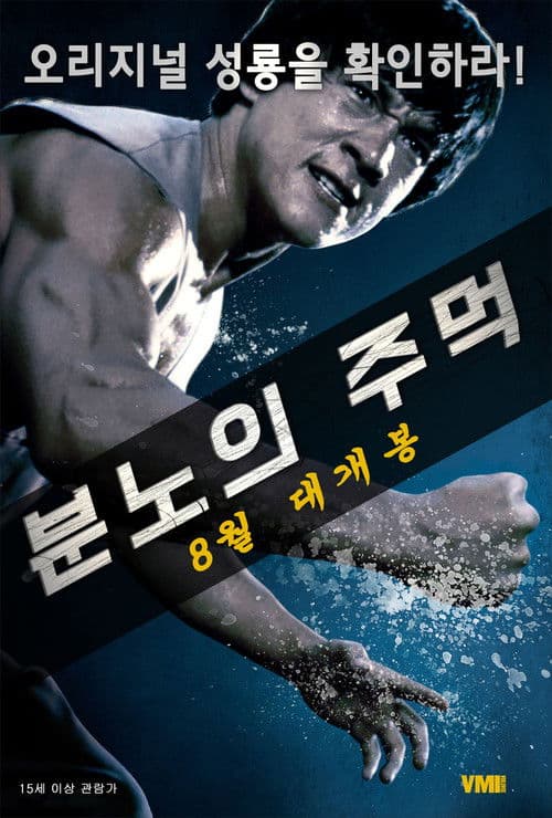 분노의 주먹