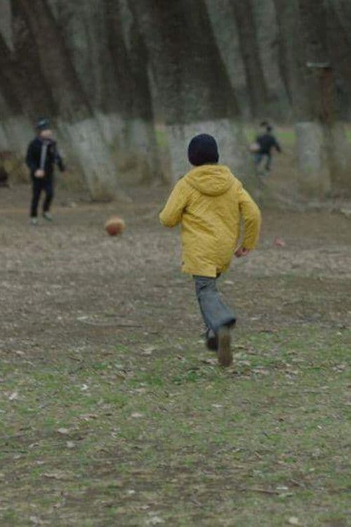 საშლელი