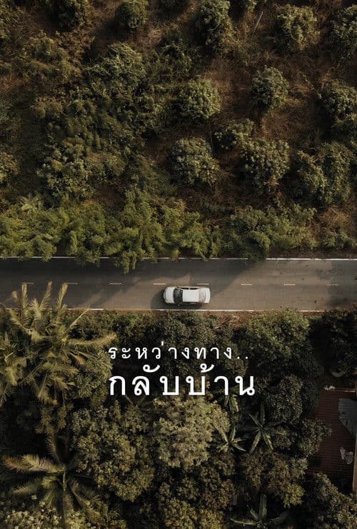 ระหว่างทาง..กลับบ้าน