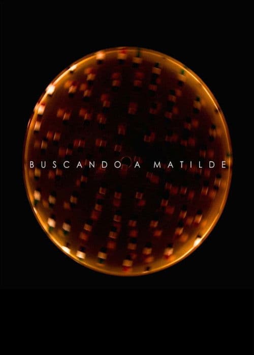 Buscando a Matilde
