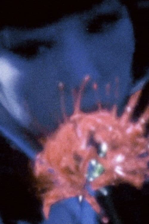 絶望アラベスク