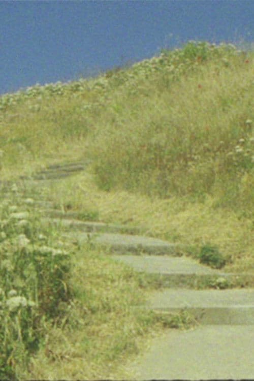 La mouette... et la gloire à Dieu