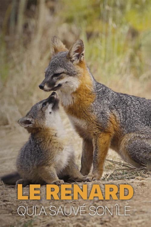 Le renard qui a sauvé son île