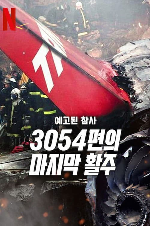 예고된 참사: 3054편의 마지막 활주