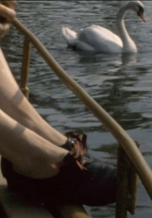 A Constellation of 6 Super 8 Films (1991 – 2010)