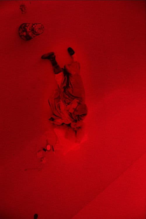 태양왕 루이 14세