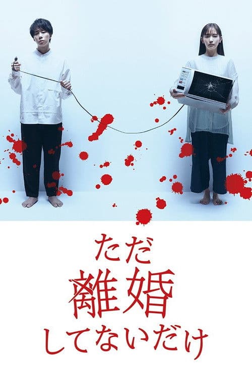 그저 이혼하지 않았을 뿐