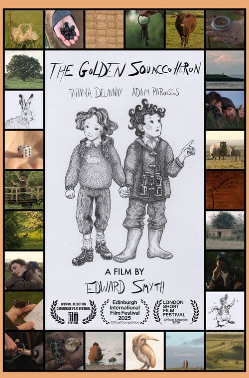 The Golden Squacco Heron