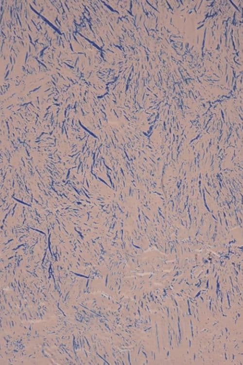 눈부신 그림자들