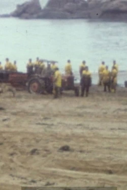 Collection série noire : Tome 4