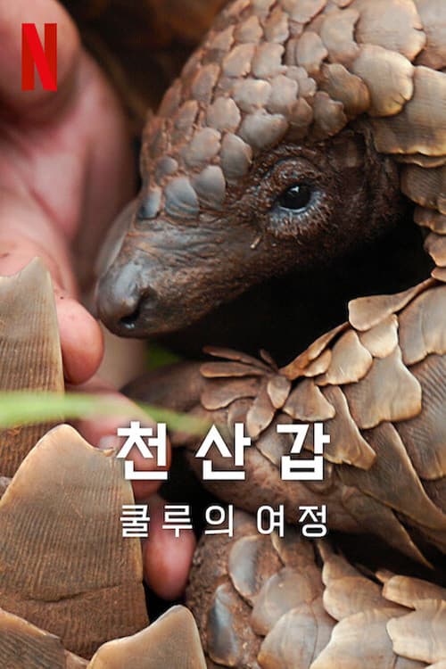 천산갑: 쿨루의 여정