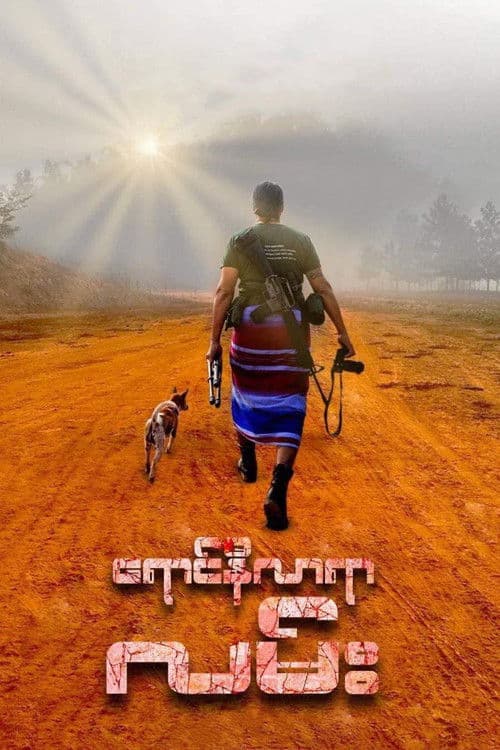 여명이 비추는 길