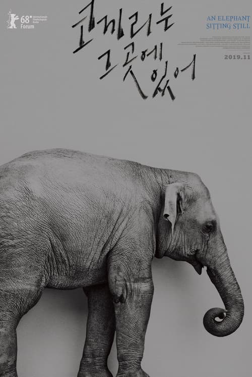 코끼리는 그곳에 있어