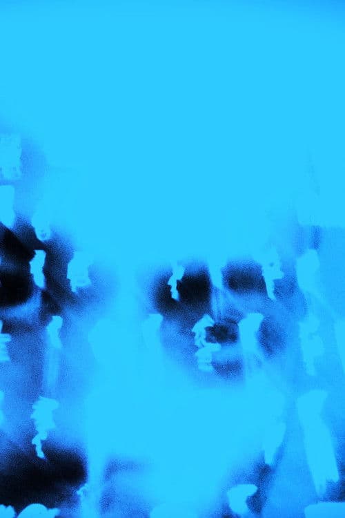 NOVO JOGO DO BOLSONARO