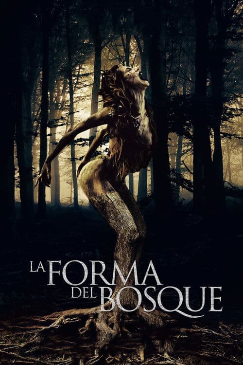 La forma del bosque