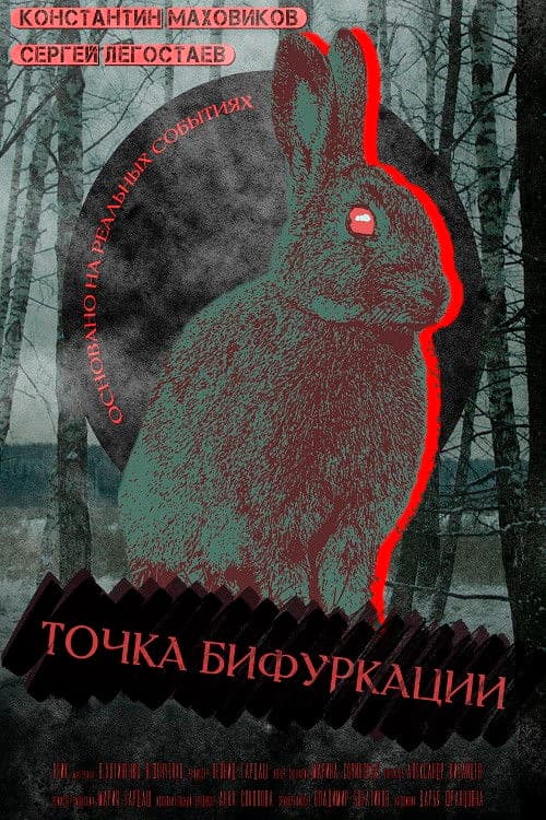 Точка бифуркации