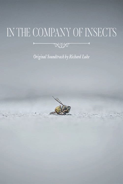 In the Company of Insects