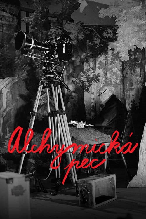 애니메이션의 연금술사, 얀 슈반크마예르