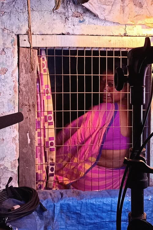 홍등가의 유튜브 스타들