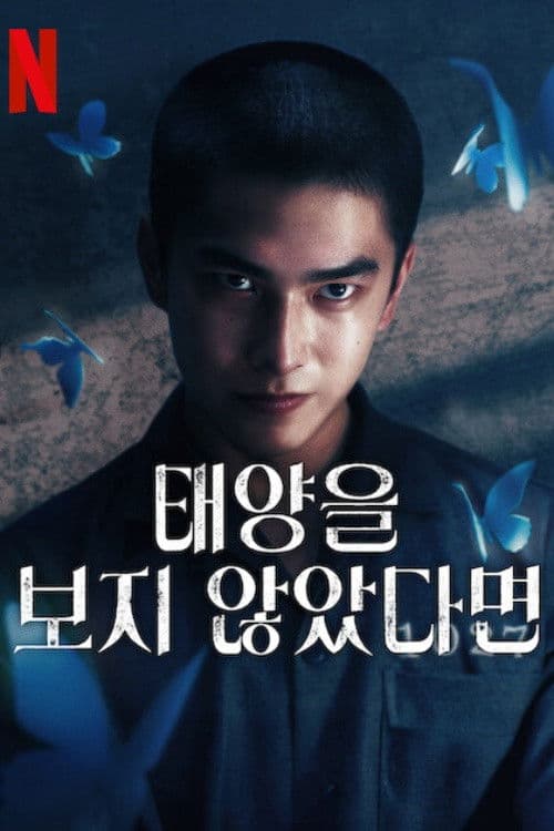 태양을 보지 않았다면