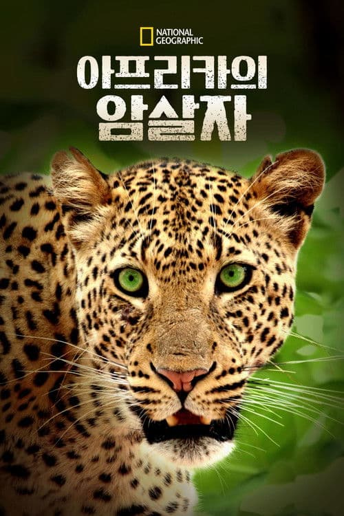 아프리카의 암살자