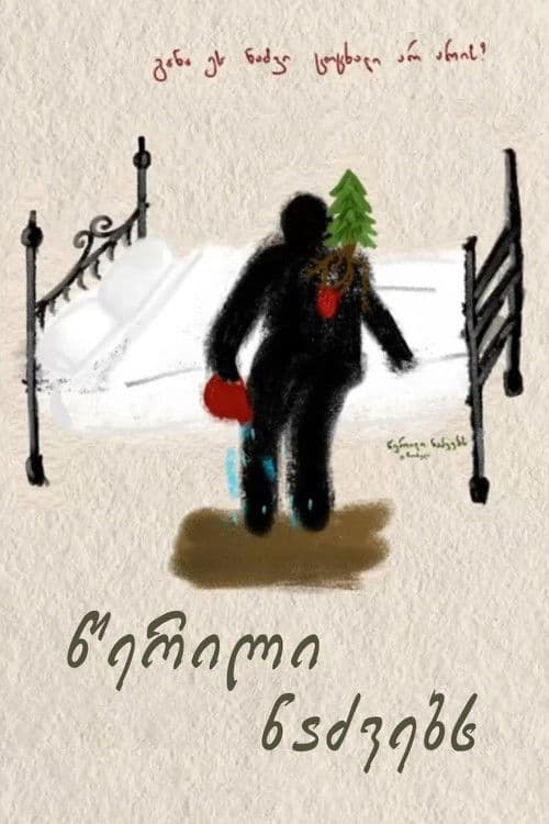 წერილი ნაძვებს