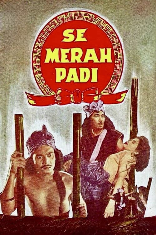 Semerah Padi