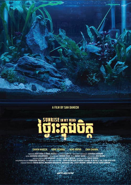 내 마음의 햇살