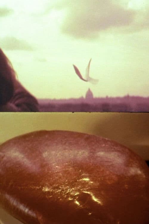 Esperienze in uno spazio non teatrale