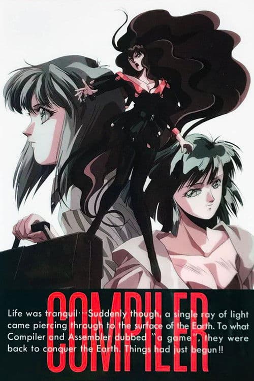 컴파일러: 음의 장