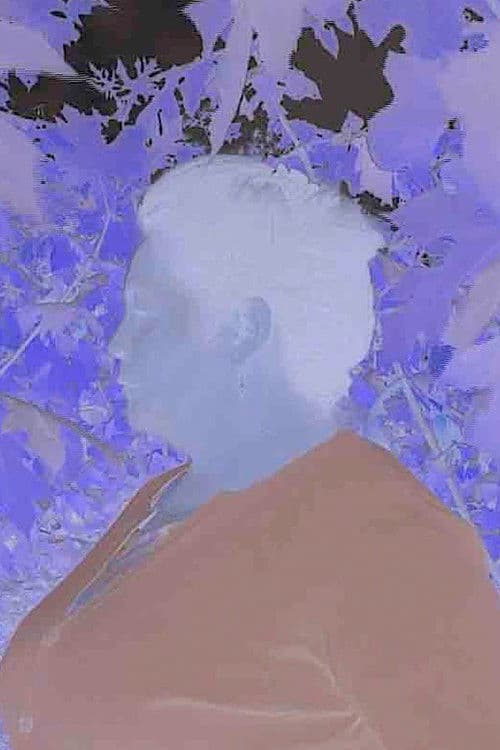 Esta película la hice pensando en ti