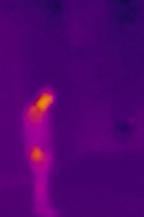 چگونه به پرواز درآمدم؟