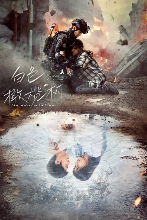 백색감람수 : 하얀 올리브 나무