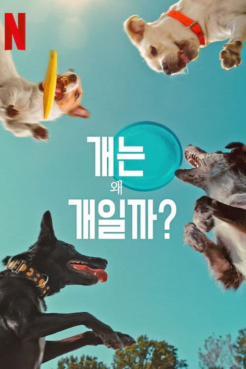 개는 왜 개일까?