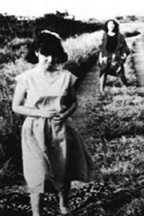 イみてーしょん、インテリあ。