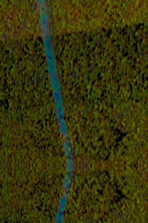 por que os bagui de segurar no onibus sao amarelo?