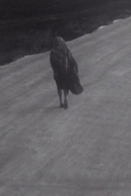 Мужчина и женщина