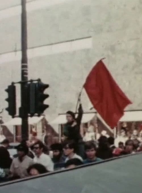 Campaign & Last Day at Comiskey Park