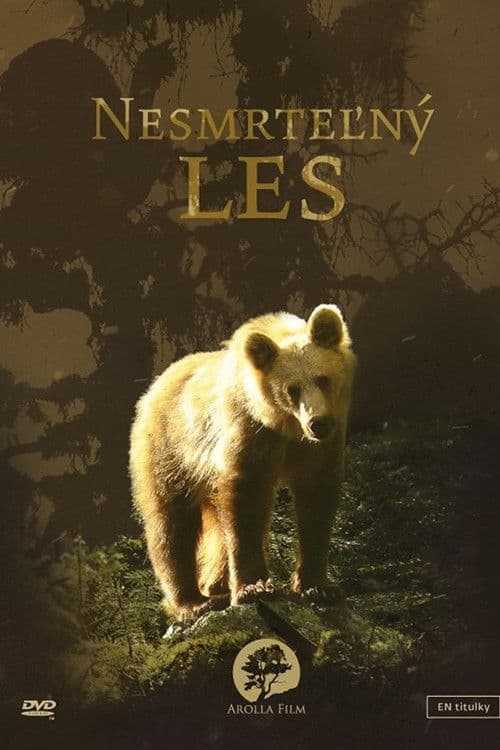 Tajomné Karpaty - Nesmrteľný les