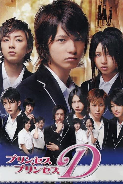 프린세스 프린세스 D