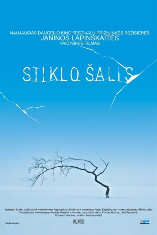 Stiklo salis