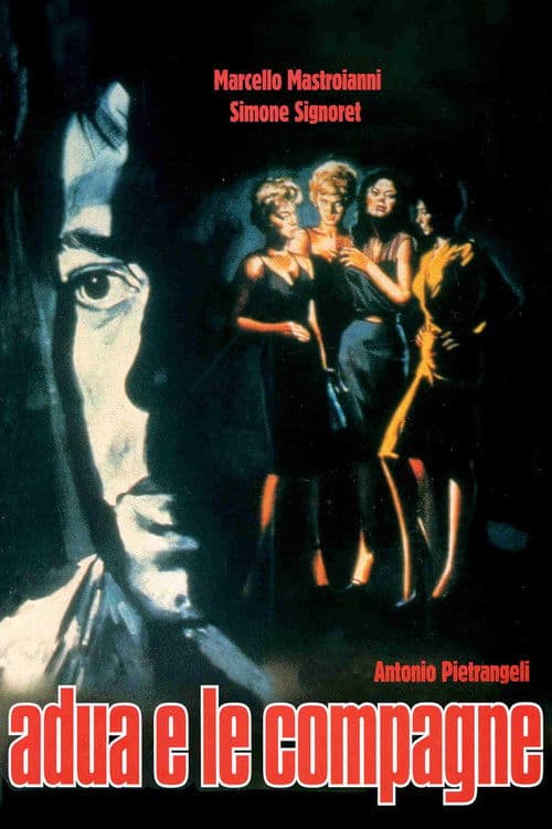 아두아 앤드 컴퍼니