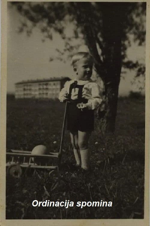 Ordinacija spomina