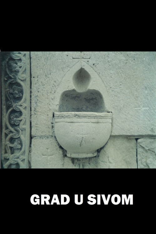 Grad u sivom