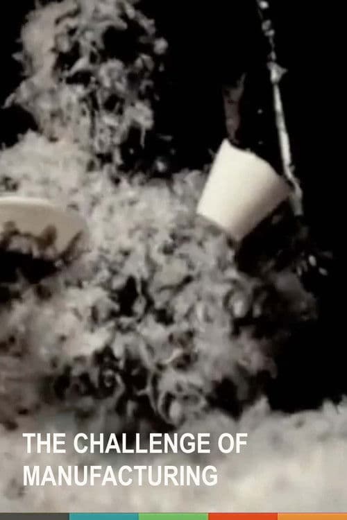 The Challenge of Manufacturing