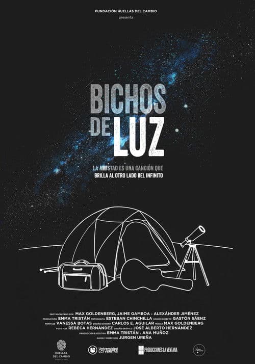 Bichos de Luz