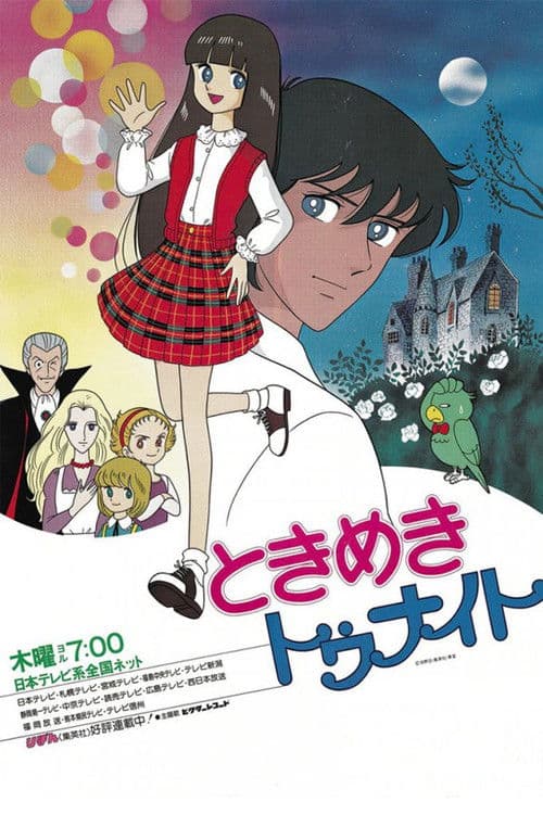 두근두근 투나잇