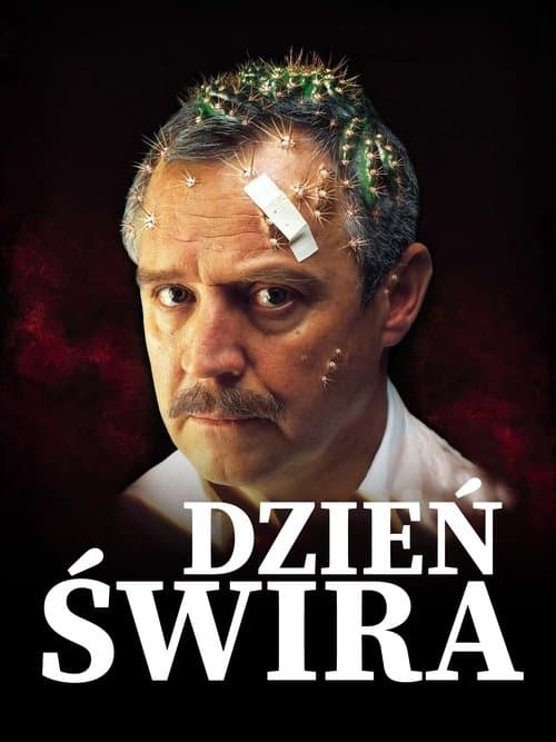 Dzień świra