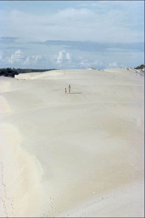 Itaúnas: Desastre Ecológico